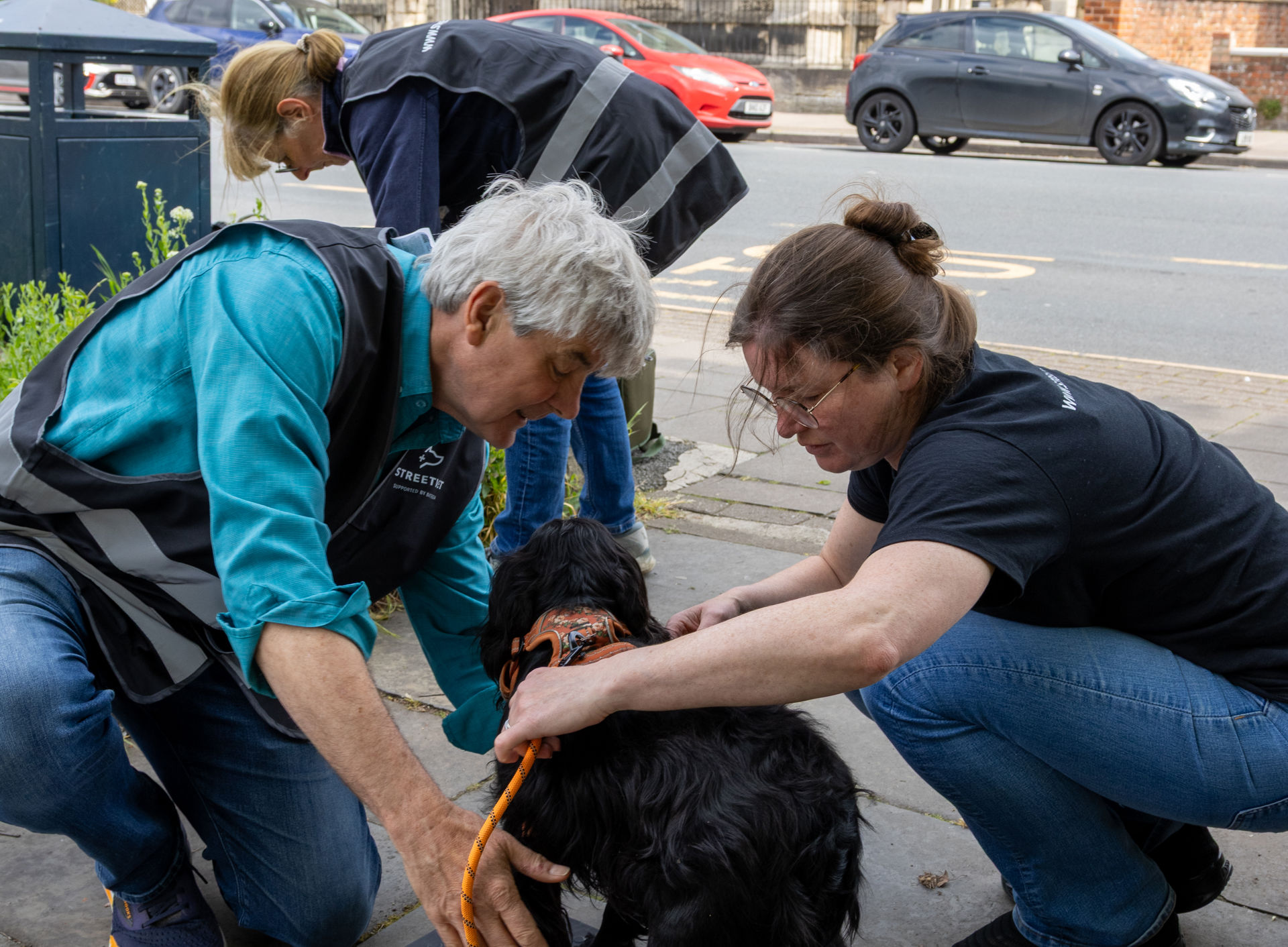 StreetVet volunteers weigh and examine a small black spaniel dog on a scale during an outdoor outreach beside a church