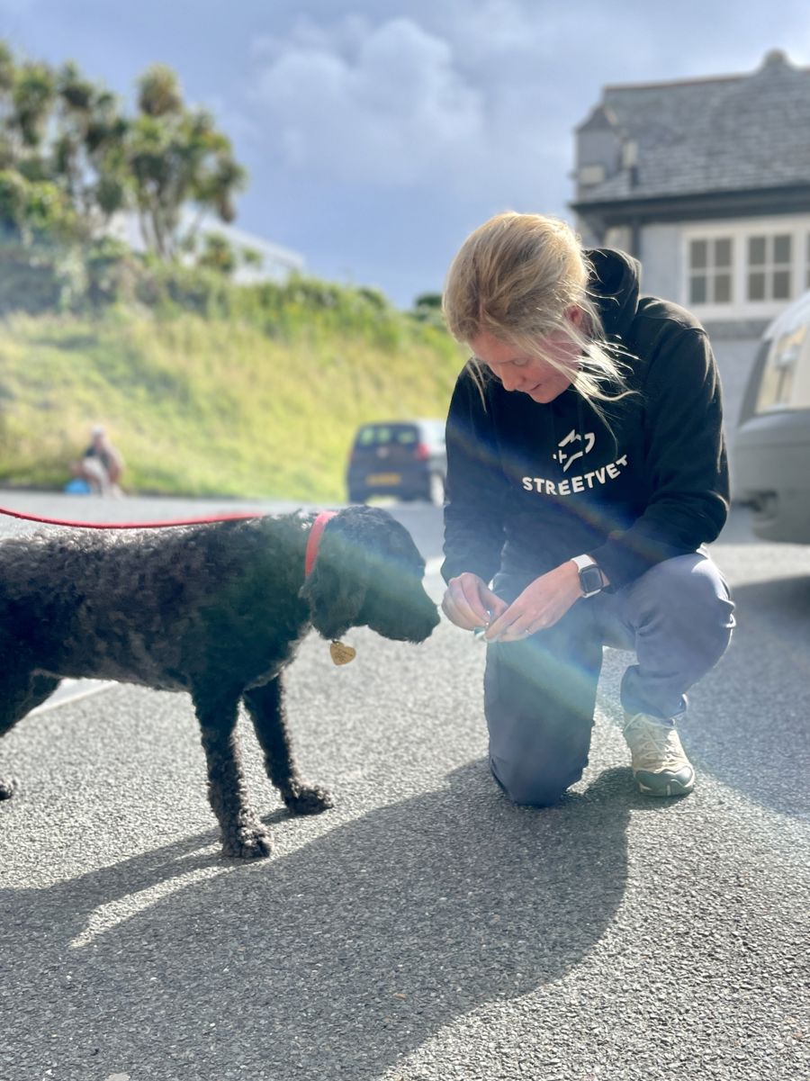 A StreetVet volunteer kneeling down to give a small fluffy dog a treat